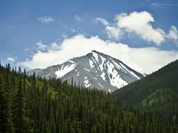 Aspen
