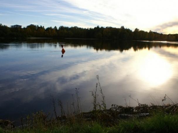 Umeå